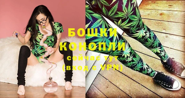 сатива Ладушкин