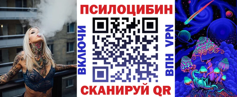 сколько стоит  Торопец  ссылка на мегу онион  Псилоцибиновые грибы мицелий 